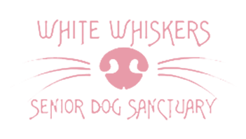 White-Whiskers-Home-logo-2